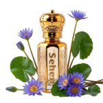 Luxury blue lotus attar perfume oil with floral aquatic notes, alcohol free long lasting fragrance in India